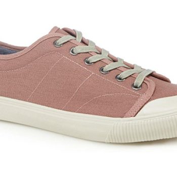 red herring pink canvas lyon trainer - debenhams - smart man